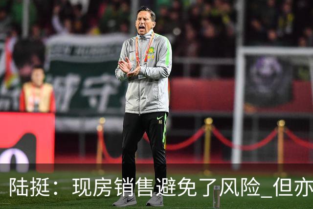 陆挺：现房销售避免了风险 但亦存在现实问题